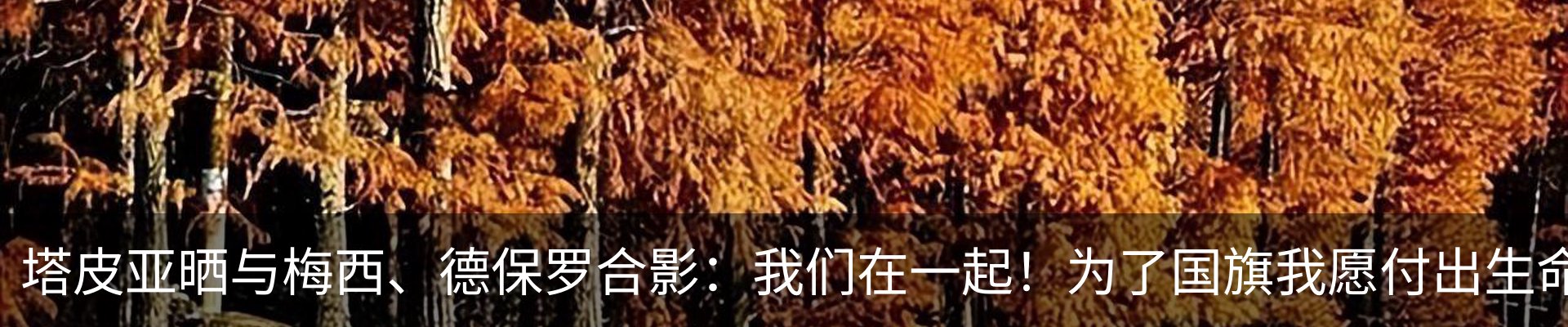 行业资讯