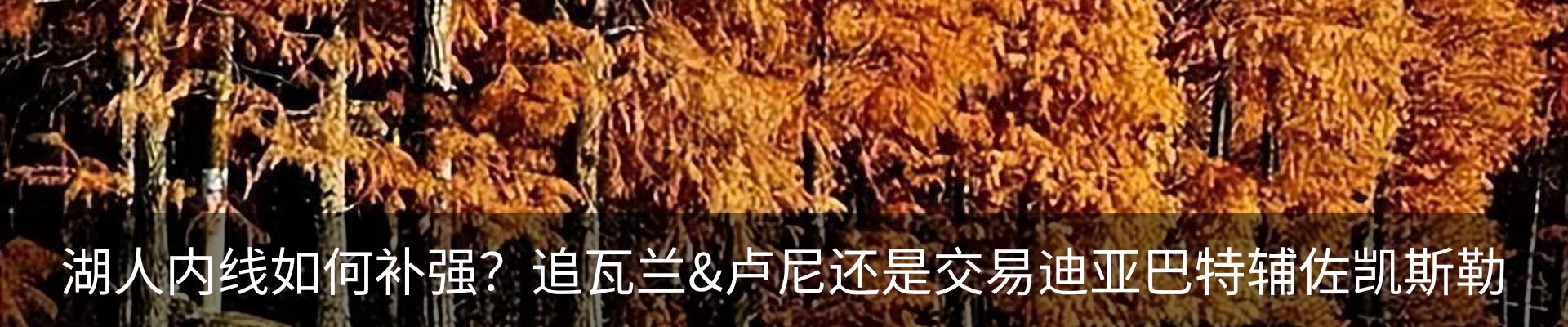 行业资讯